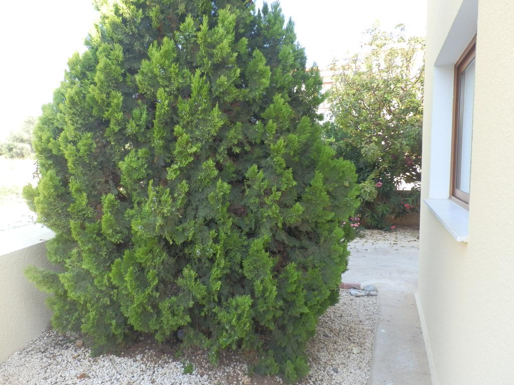 Villa Elina Paphos Room photo